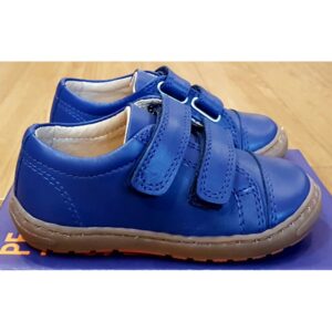 Petasil Pose - Royal Blue